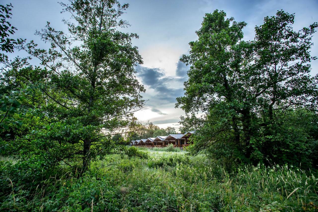 Villa Blizej Natury à Białowieża Extérieur photo